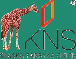 KNS logo